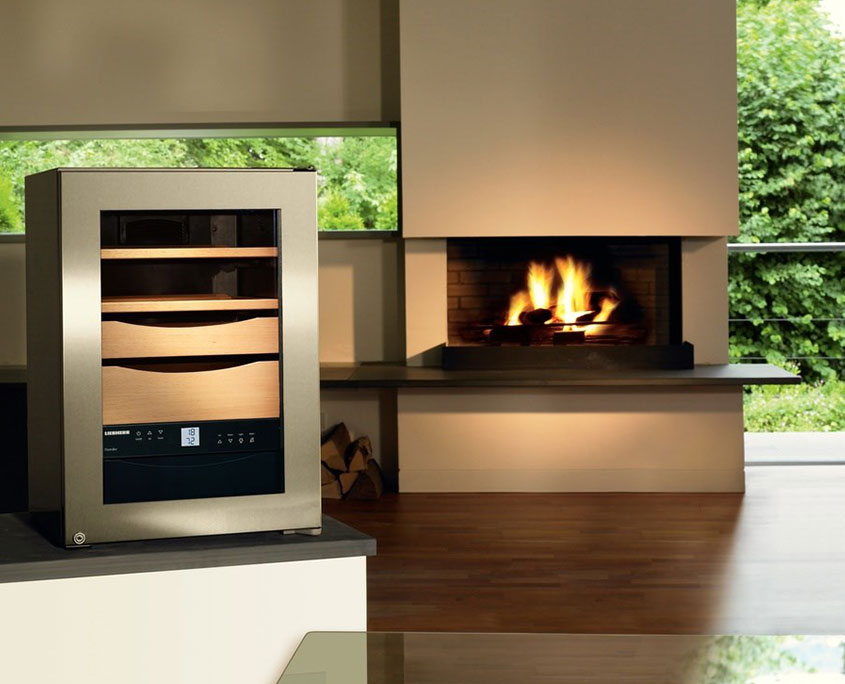 Liebherr-gallery-image-ZKES- afternoon by the fireplace