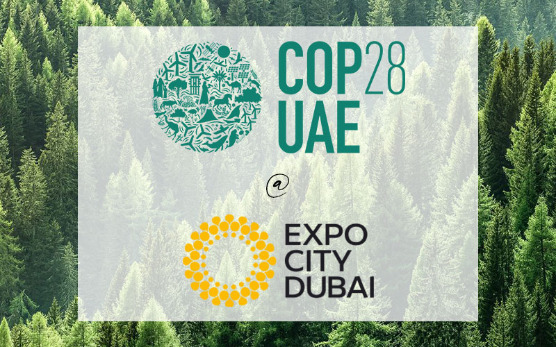 cop28 at Expo City Dubai with coniferous forest background